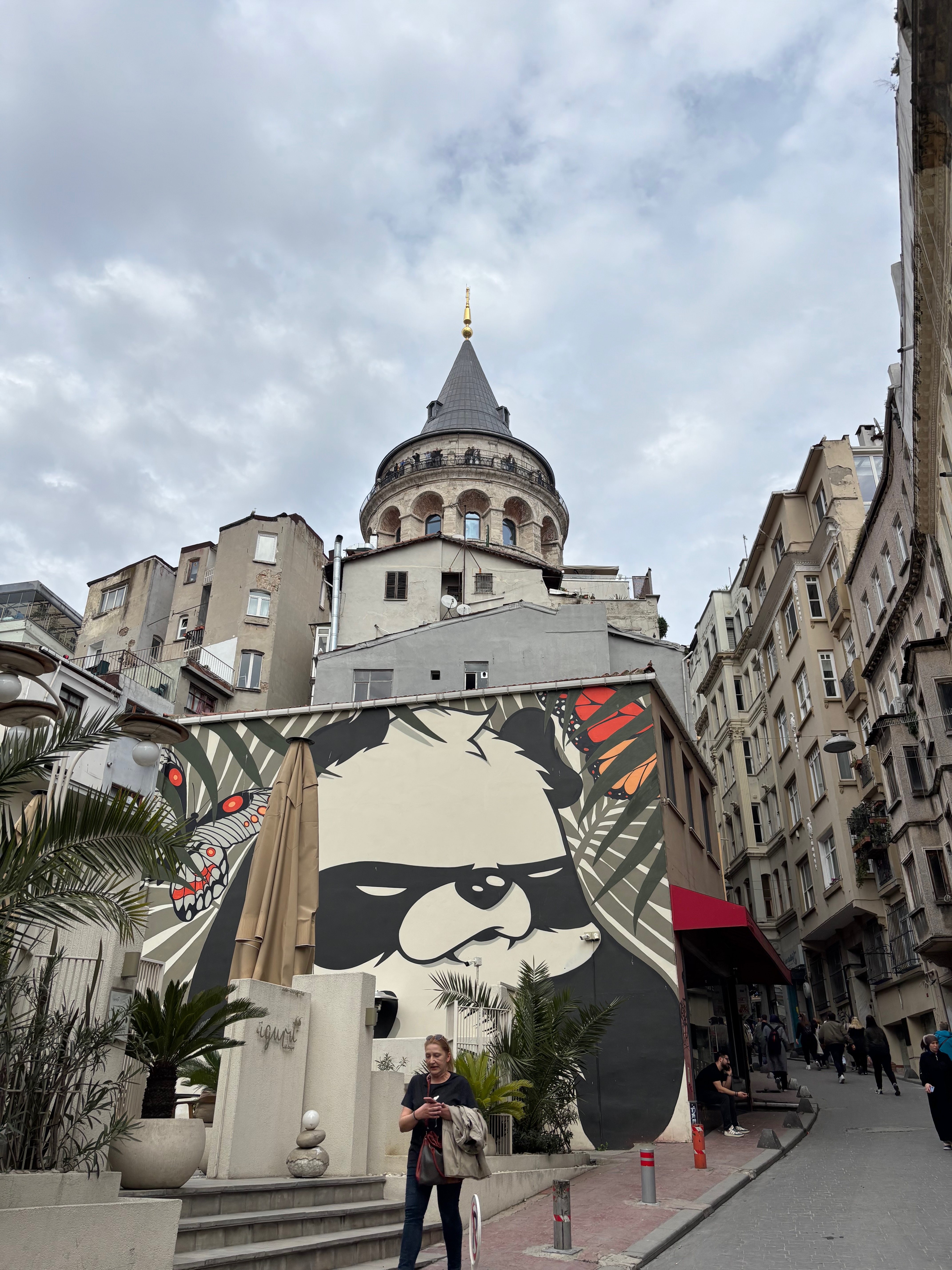 Galata Tower and Graffiti.