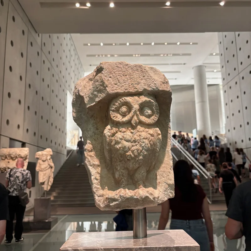 Owl the symbol of Athena.