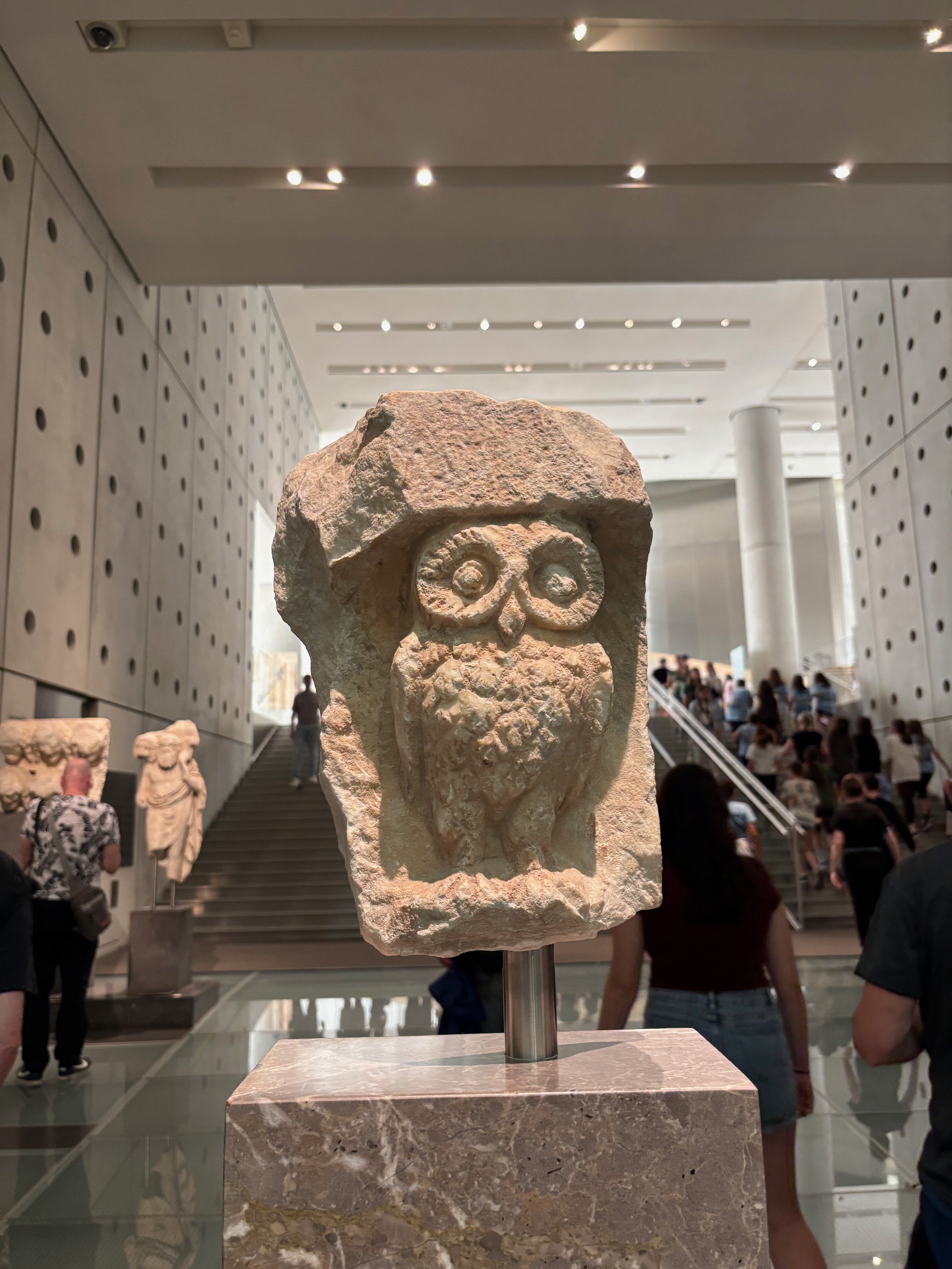 Owl the symbol of Athena.