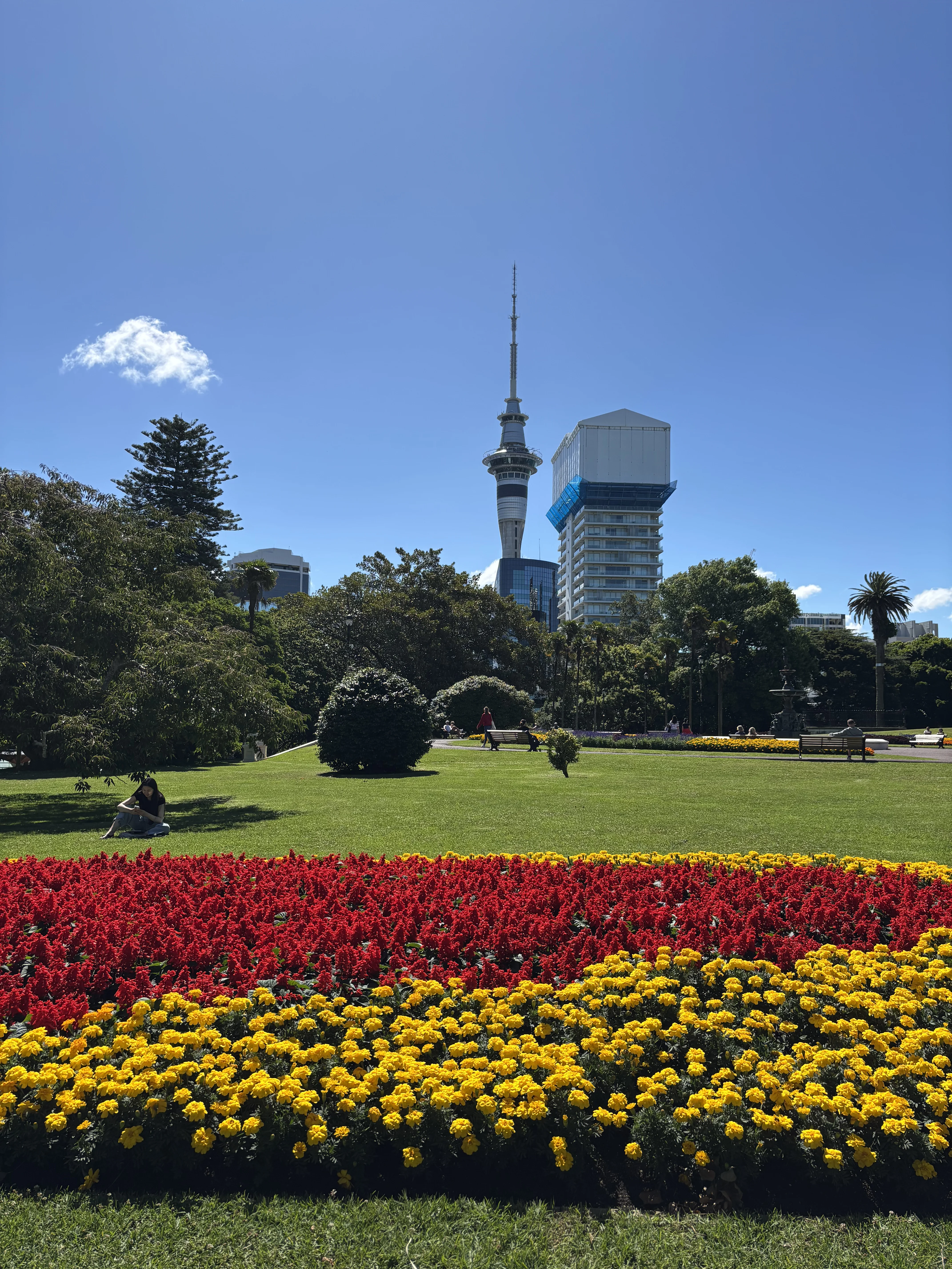 Views from Albert Park.