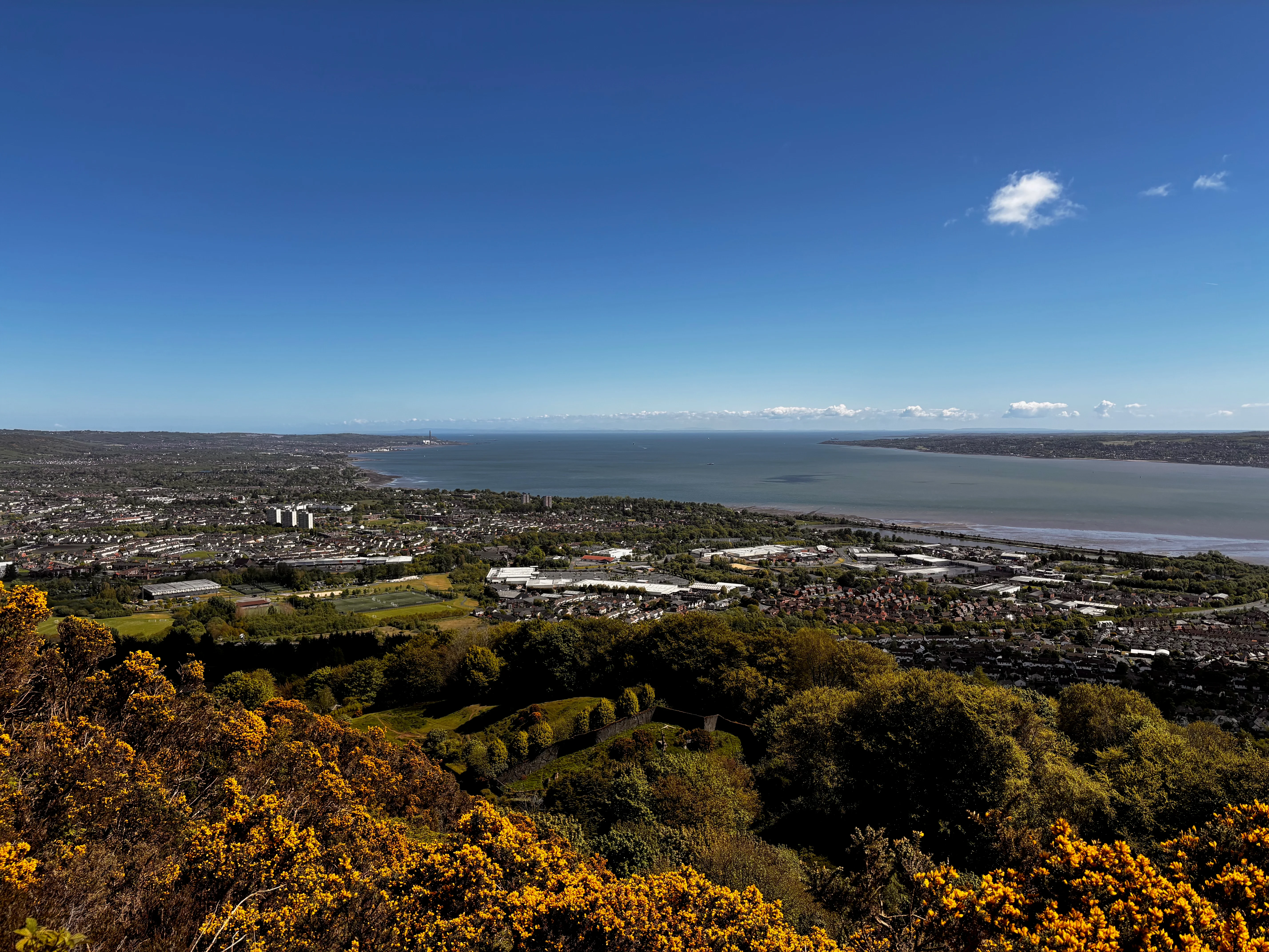 View from the top of the Cavehill Circular walk