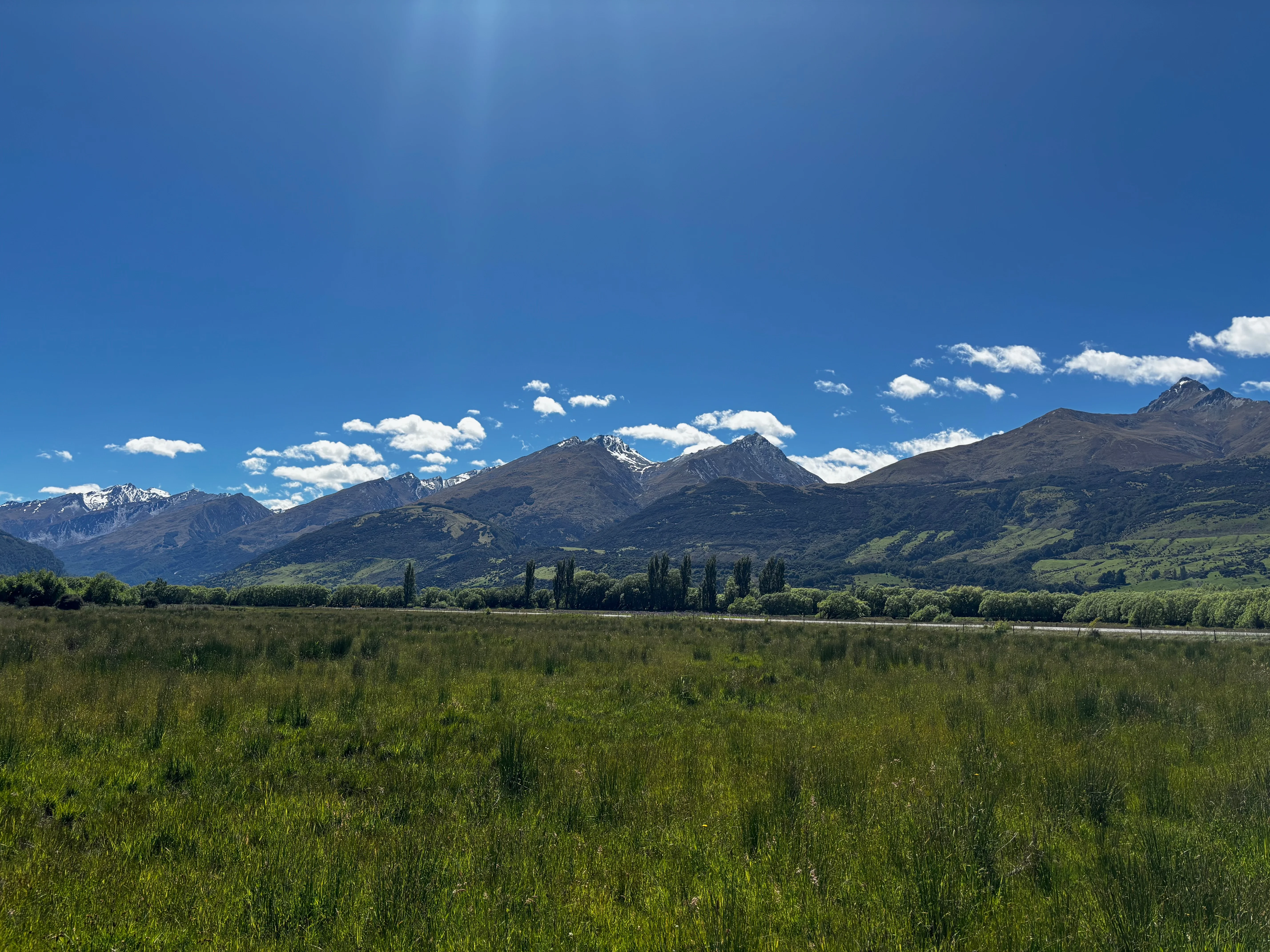 The view from the Diamond Creek Track