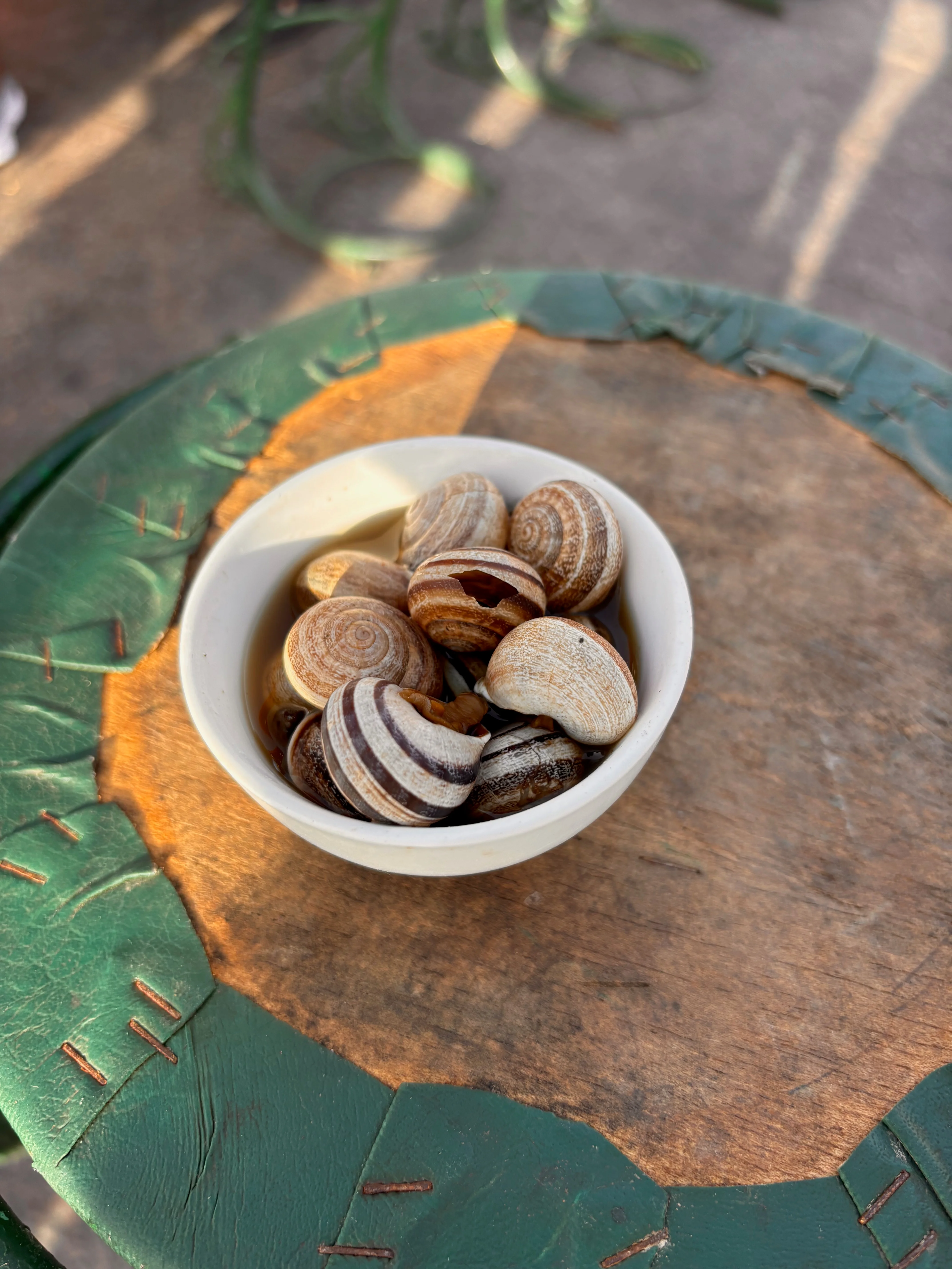Food I ate during my tour (Snail soup).