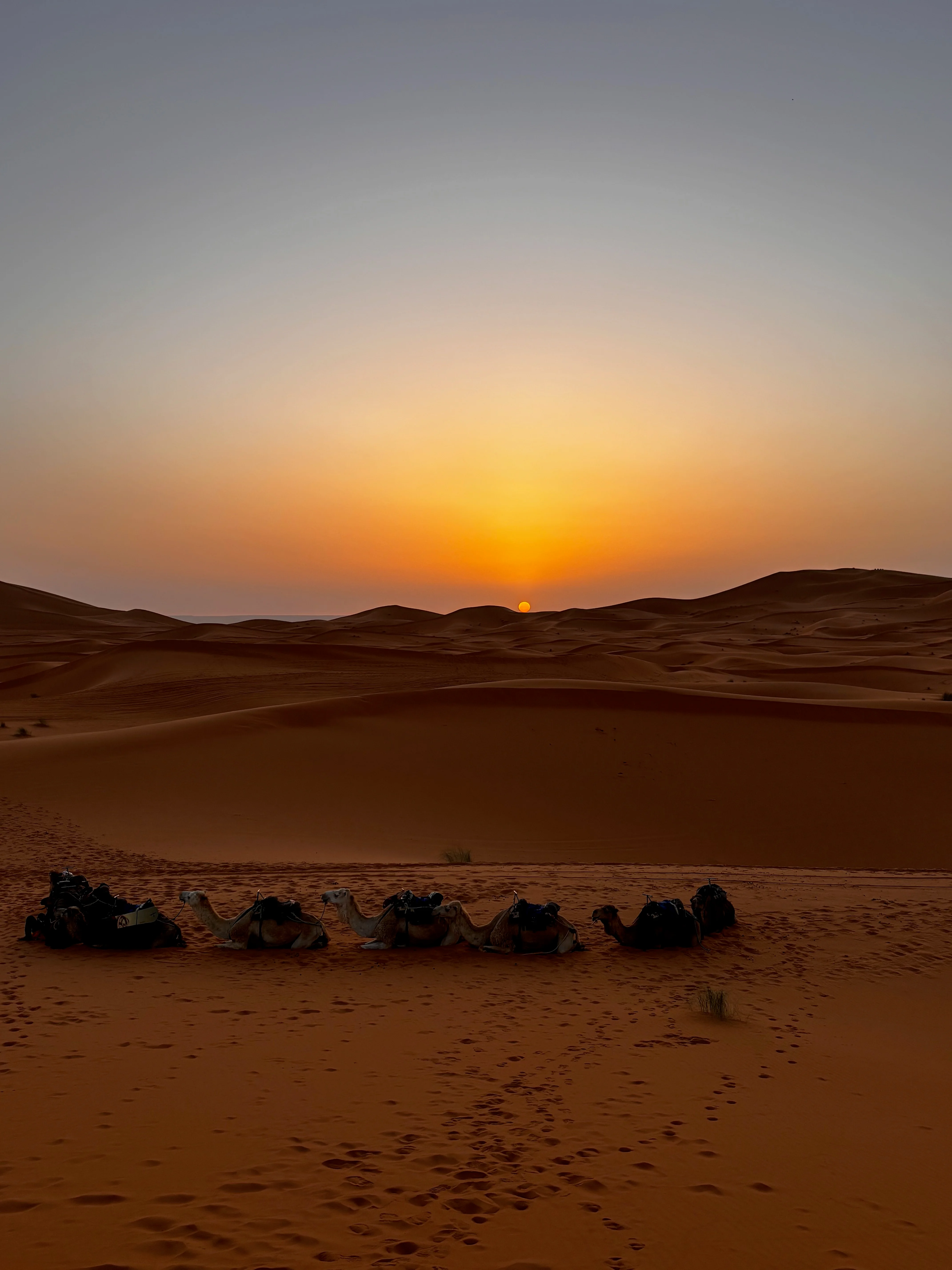 A view of the sunset 2.