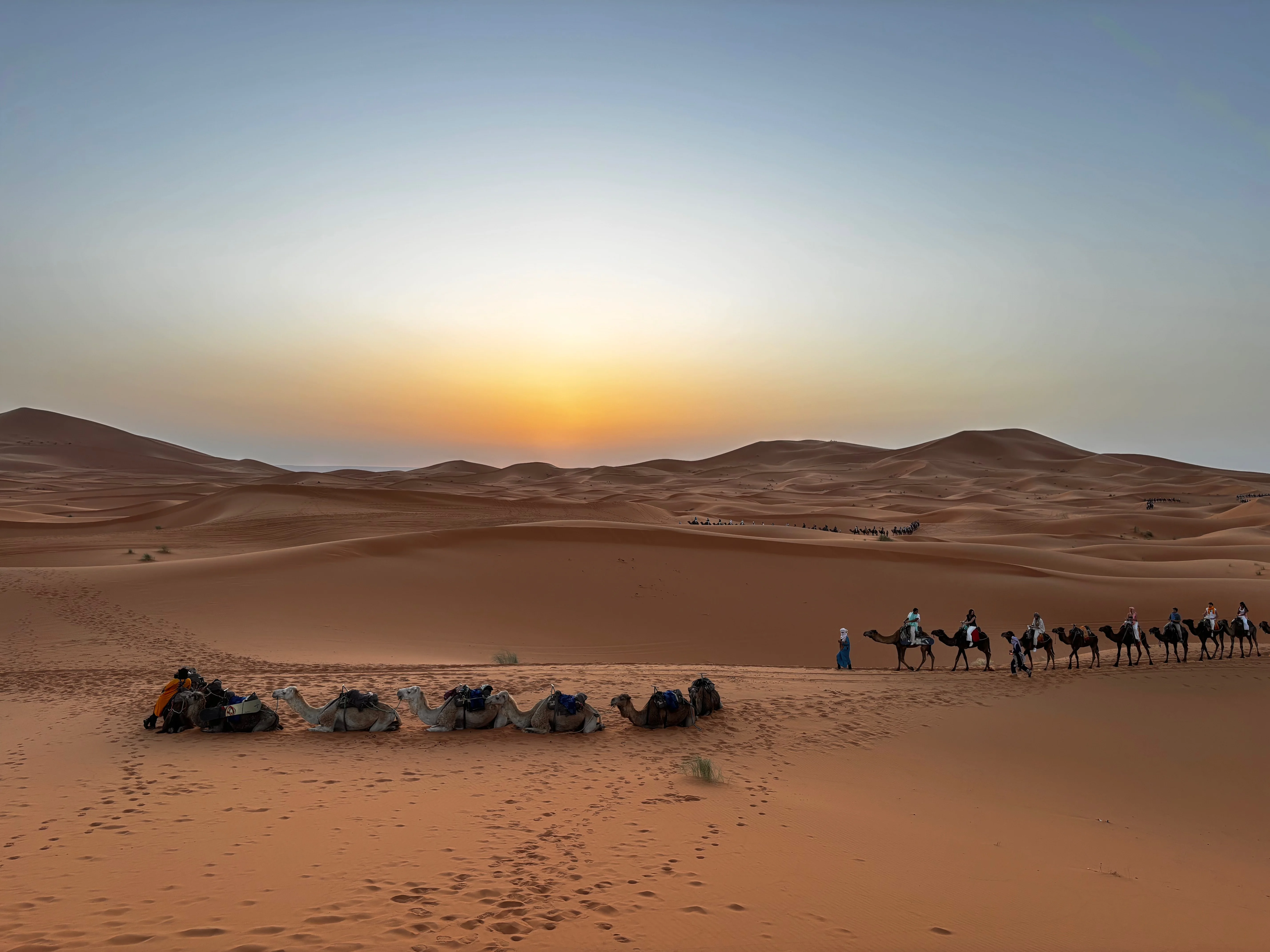 A Whirlwind Week in Marrakech and the Sahara Desert