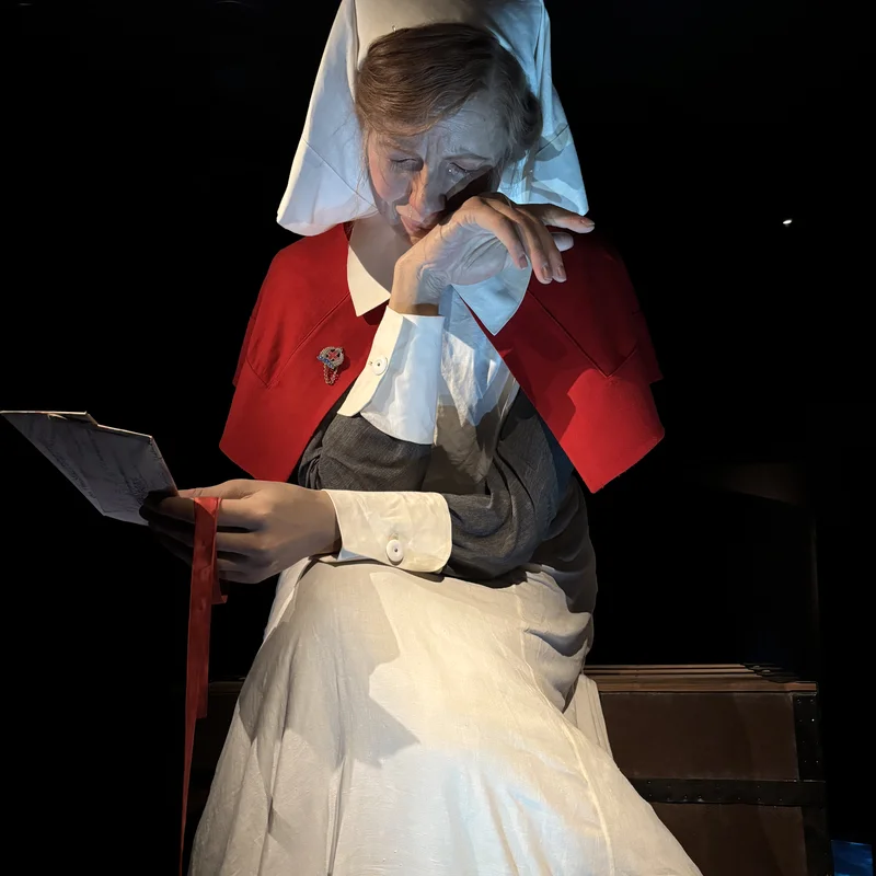 Museum of New Zealand Te Papa Tongarewa, Nurse crying.