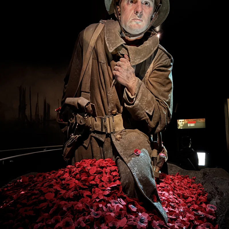 Museum of New Zealand Te Papa Tongarewa, Soldier, Picture 2.