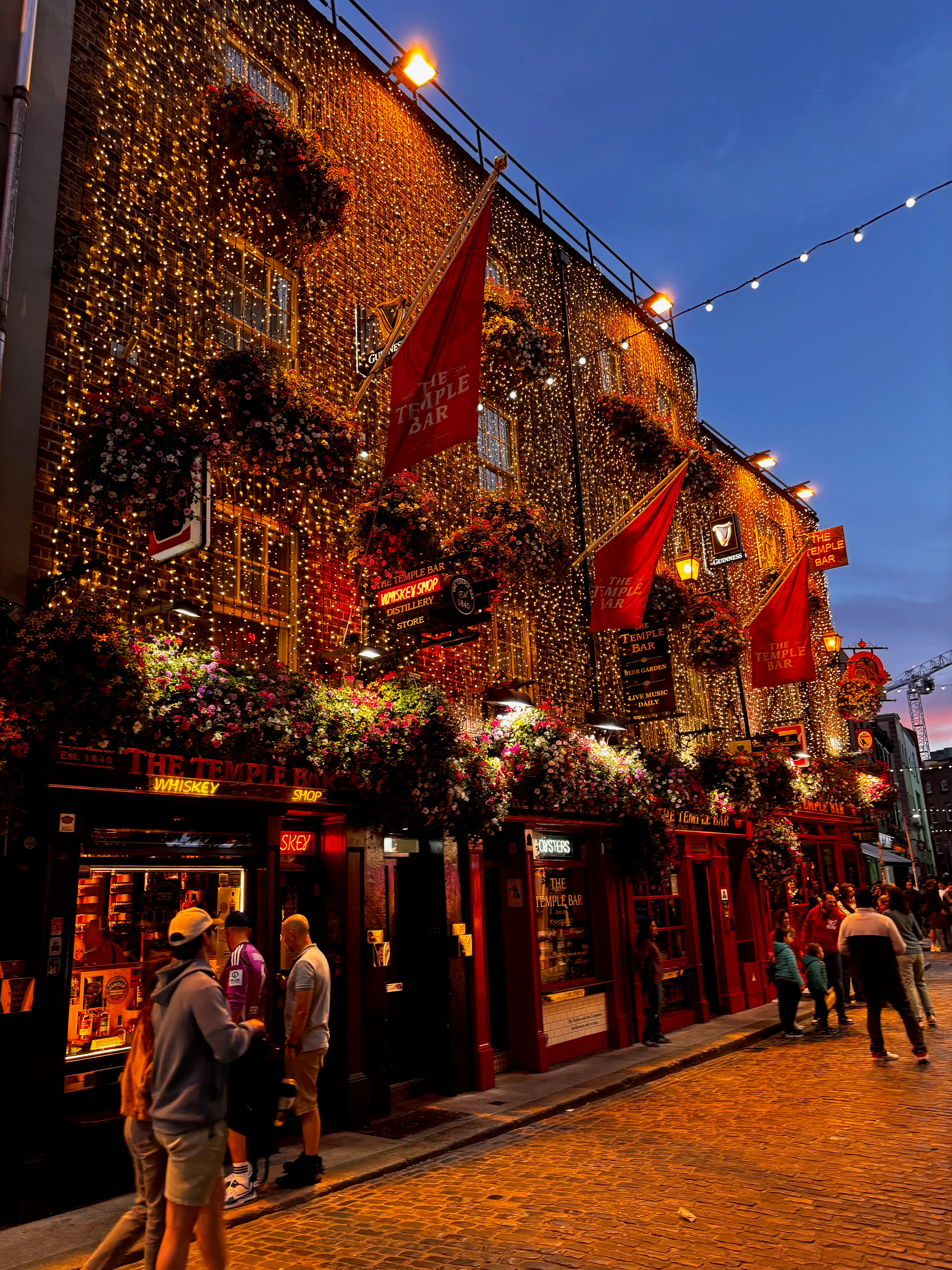 The Temple Bar at night