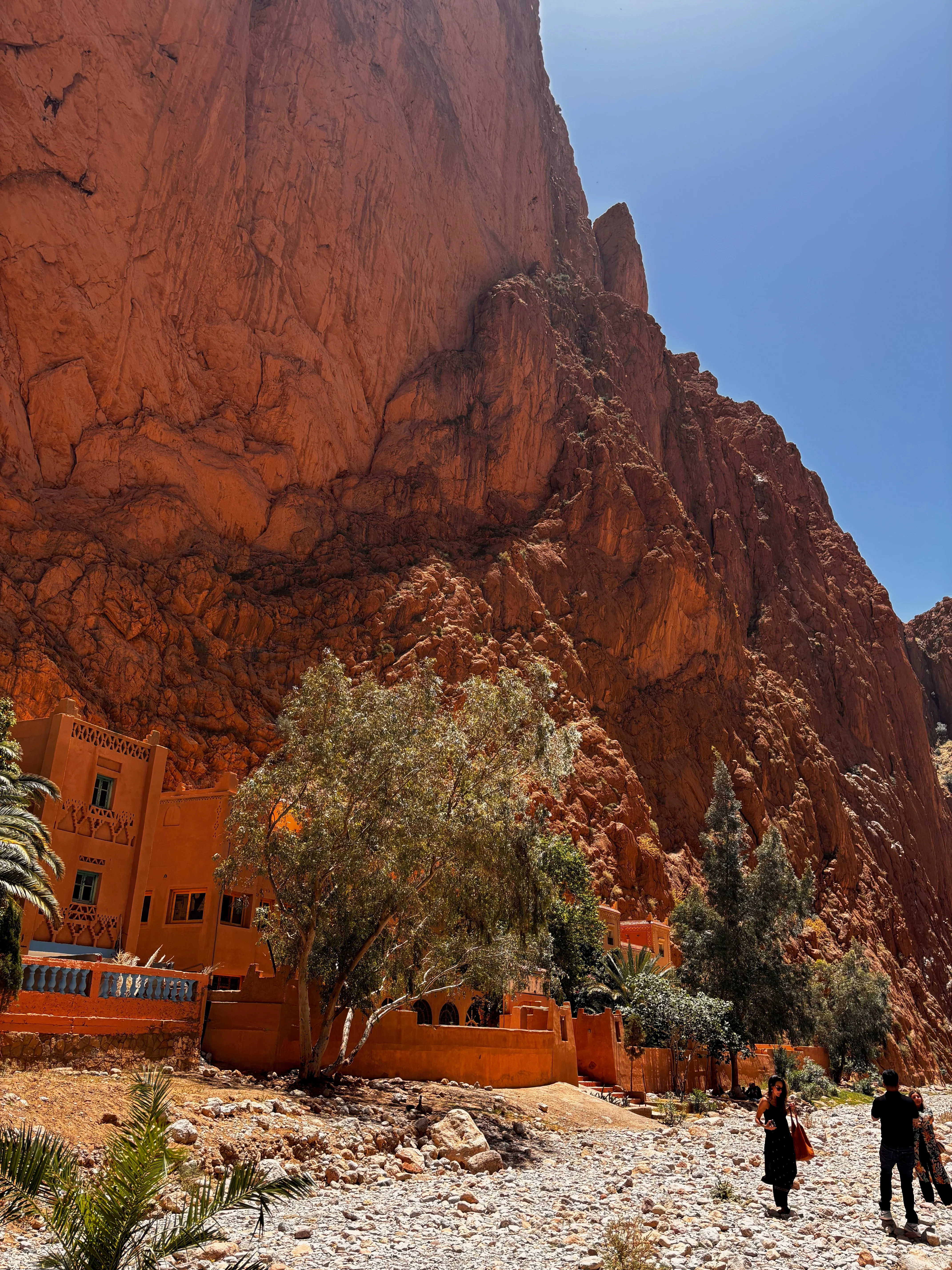 A view of Todgha Gorge 1.