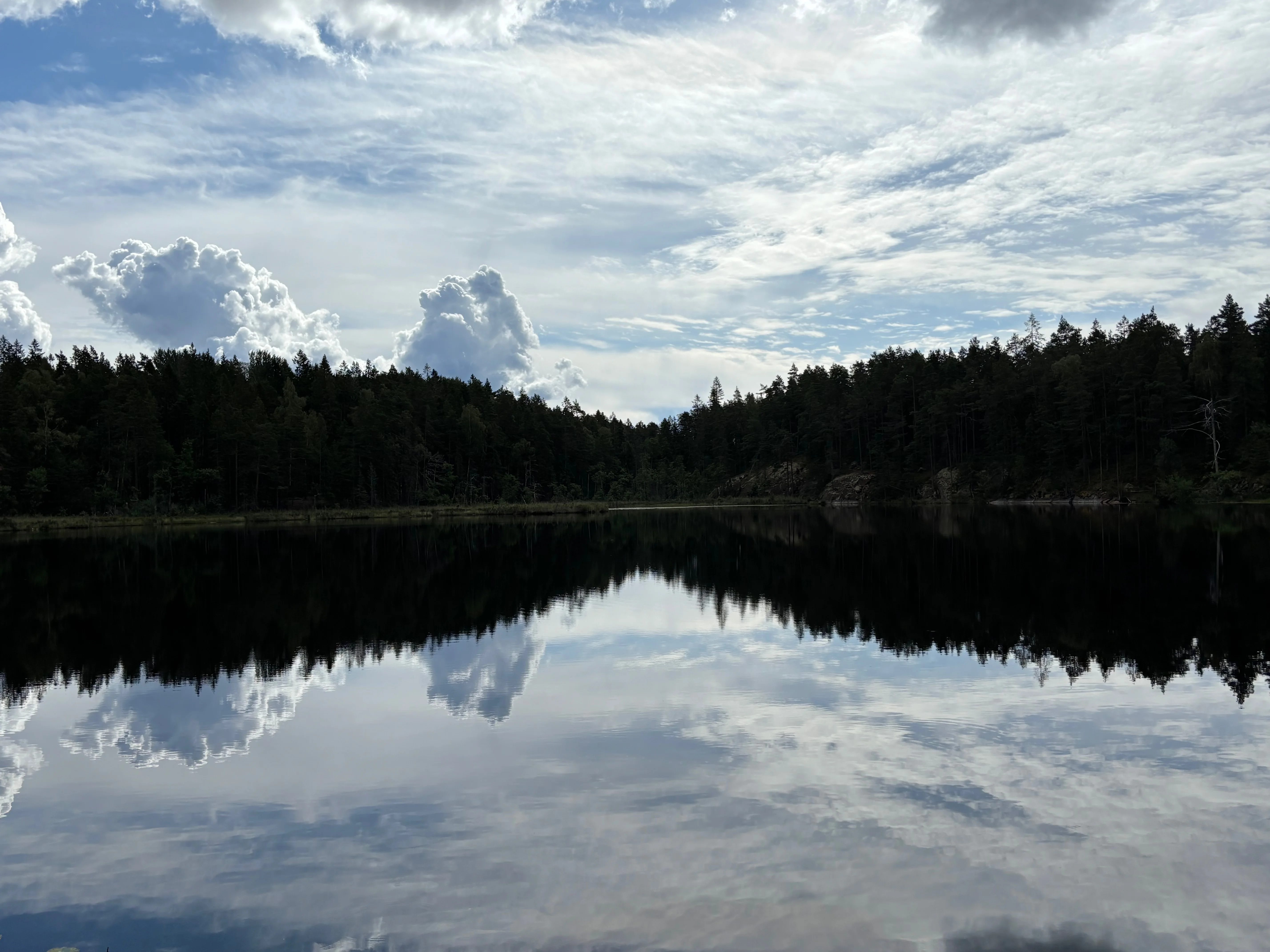 Tyrestapark.