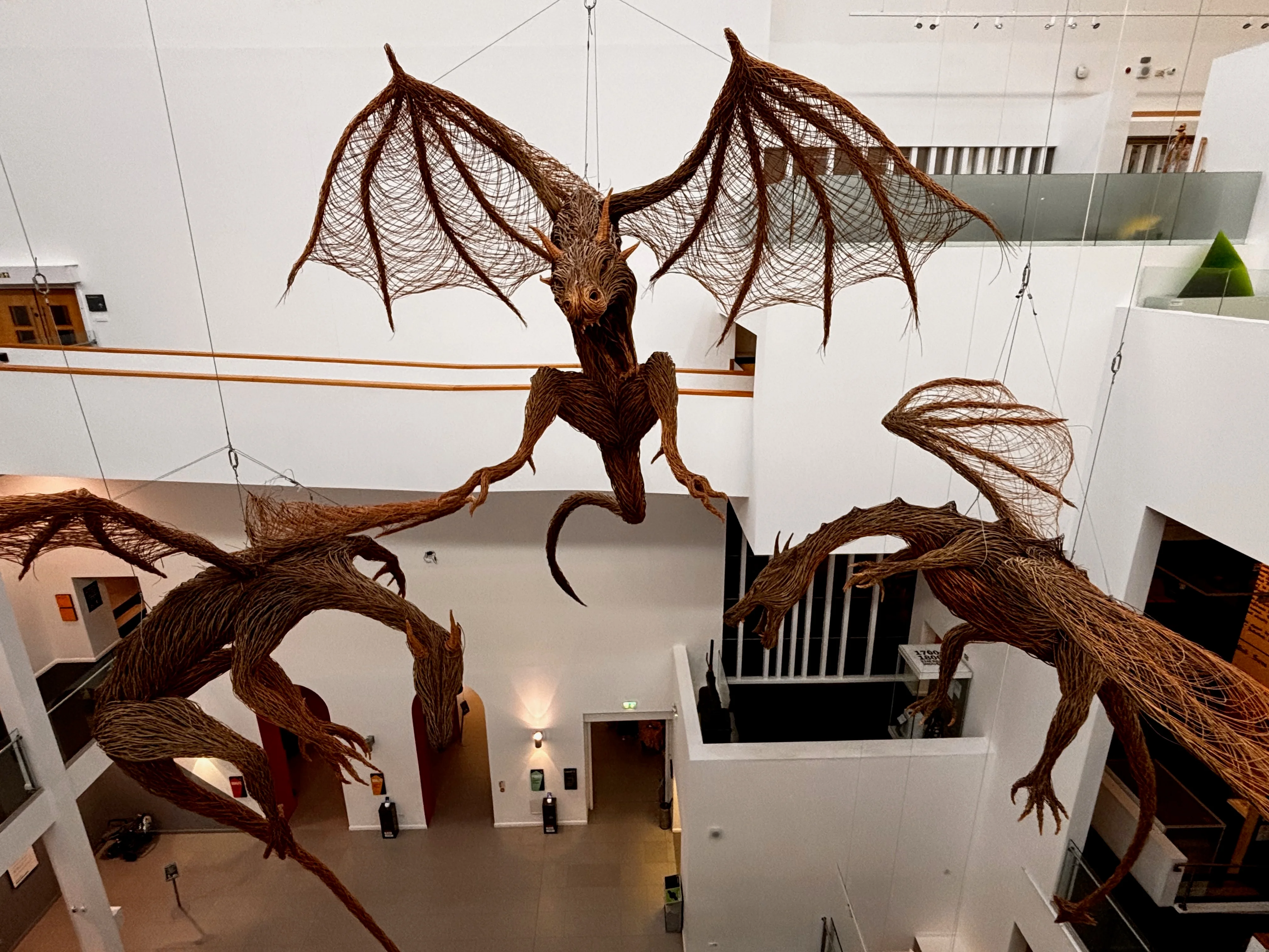 Dragons inside Ulster museum