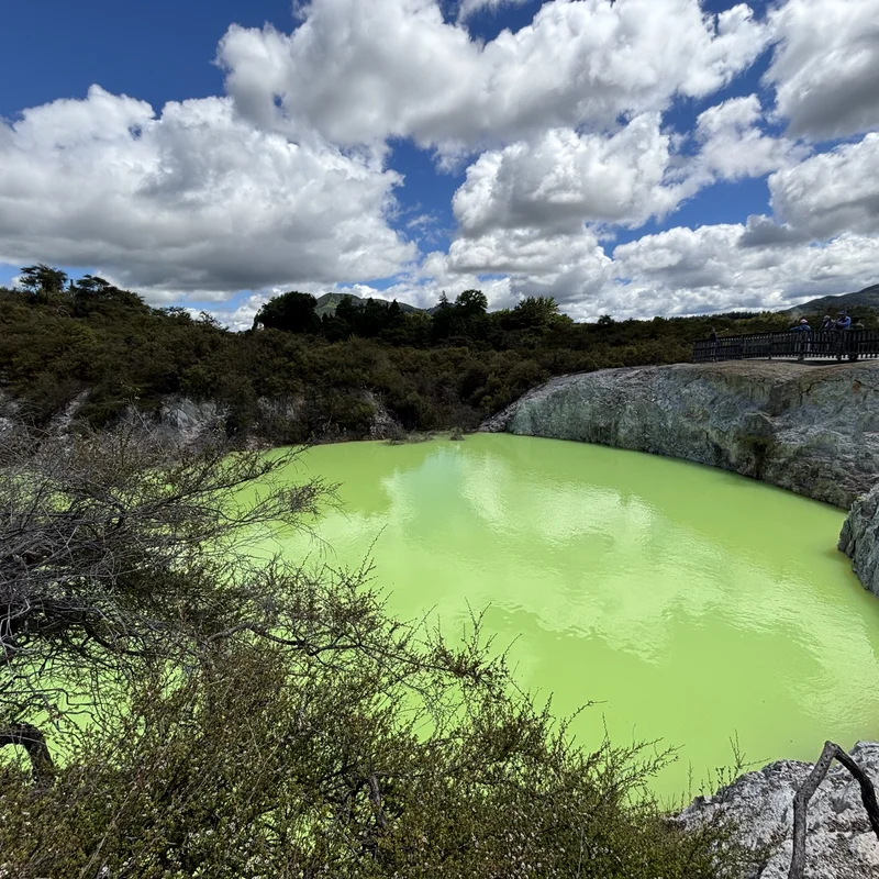 Wai-O-Tapu, radioactive green lake, Picture 2.