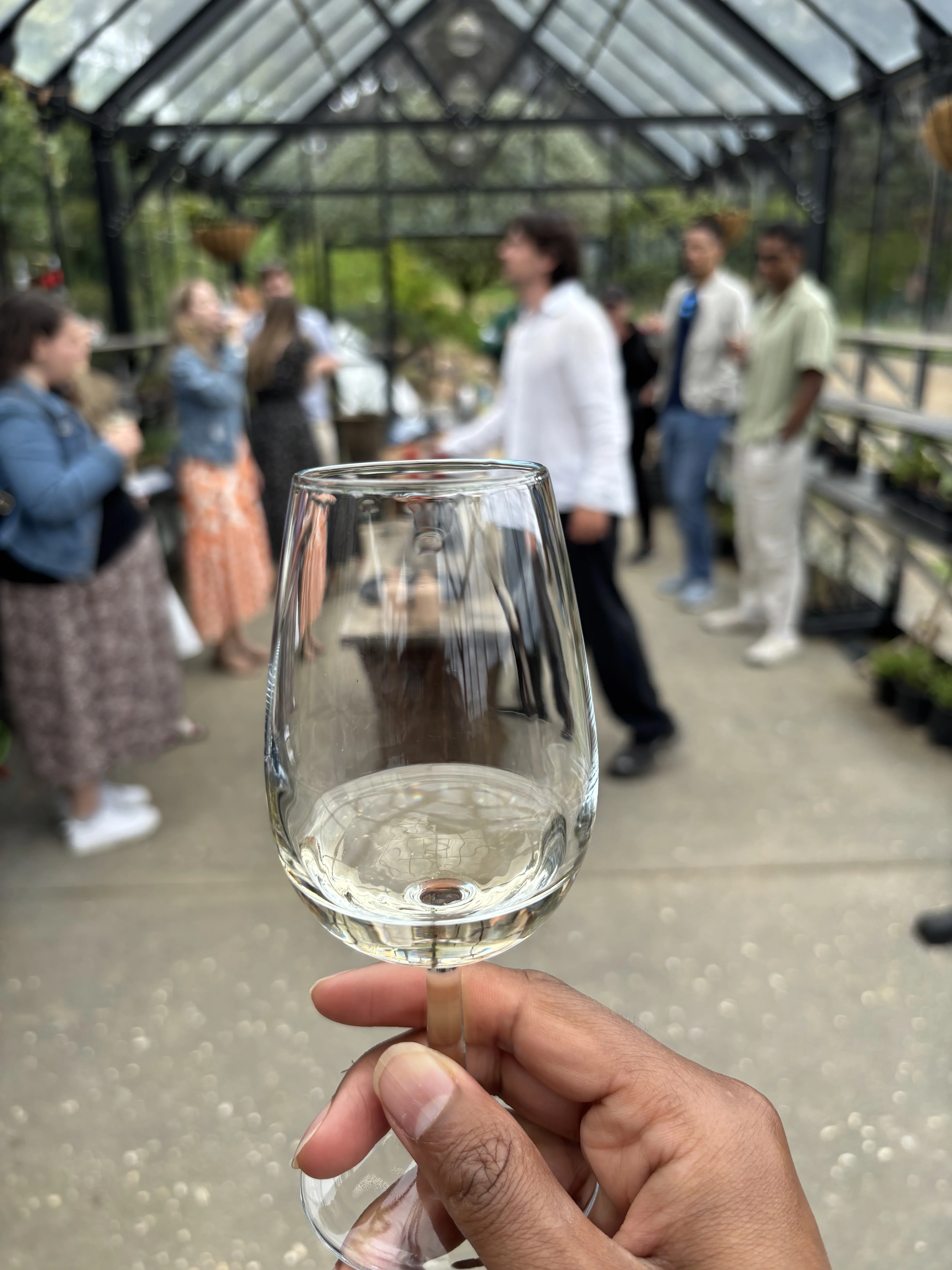 Having wine on Waiheke.