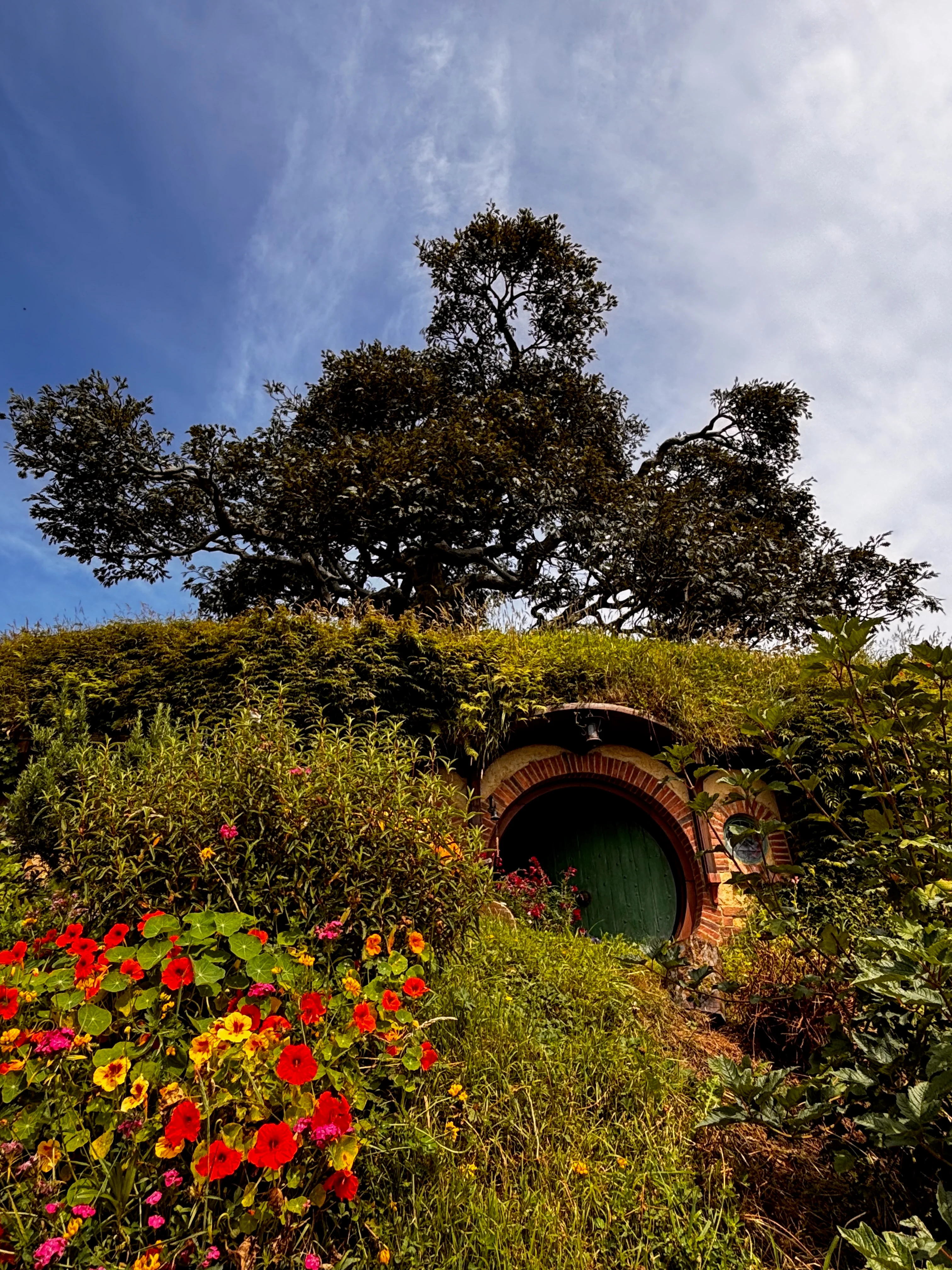 Frodo and Bilbo's house