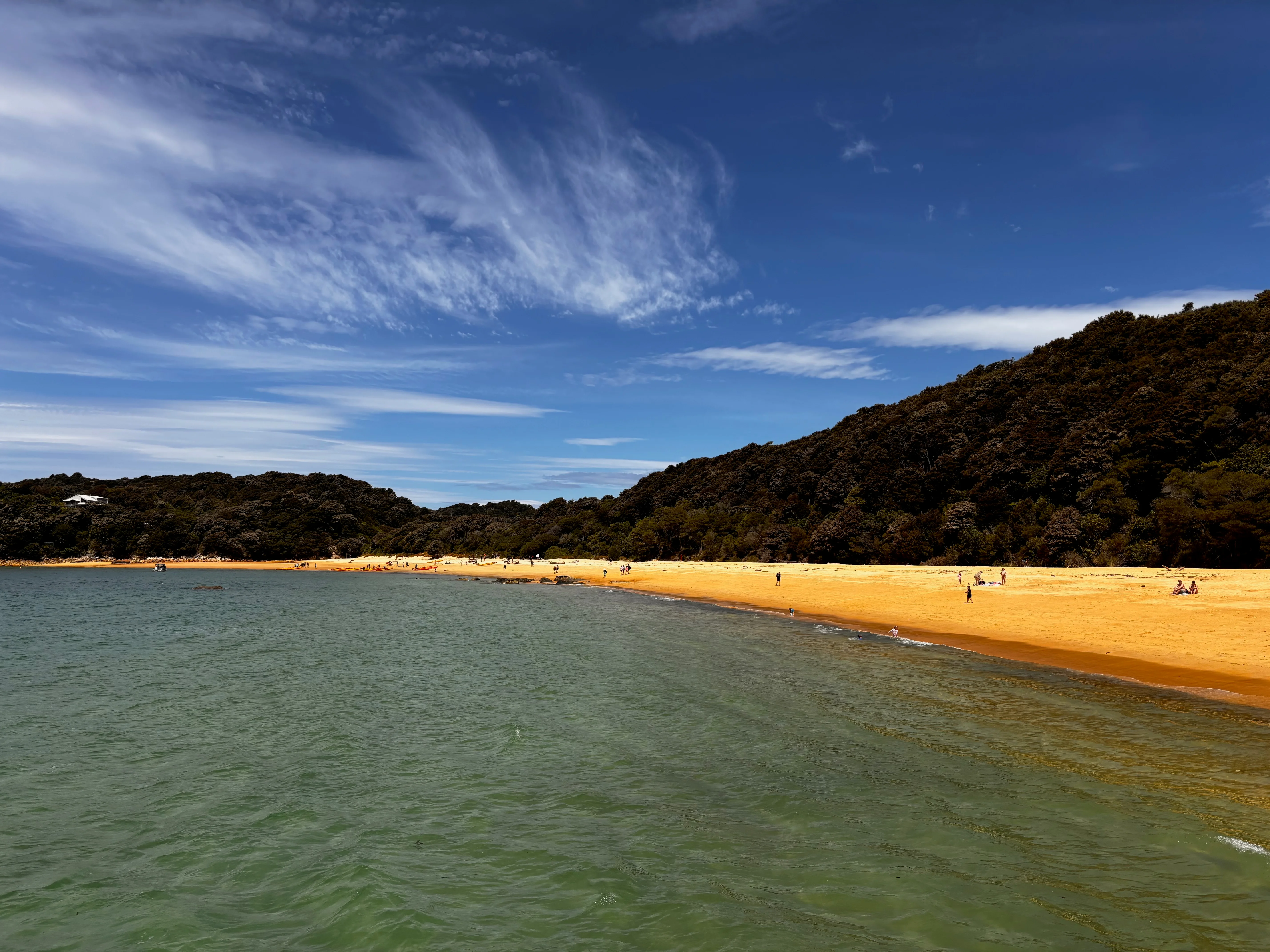 One of many golden sandy beaches at the Abel Tasman National Park