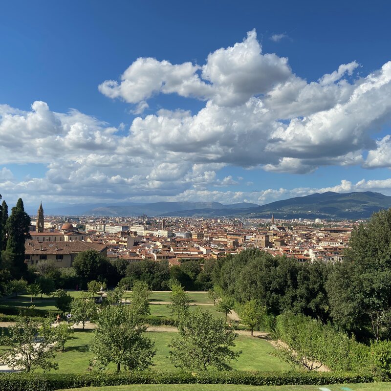 A panoramic view of Florence from Boboli gardens.
