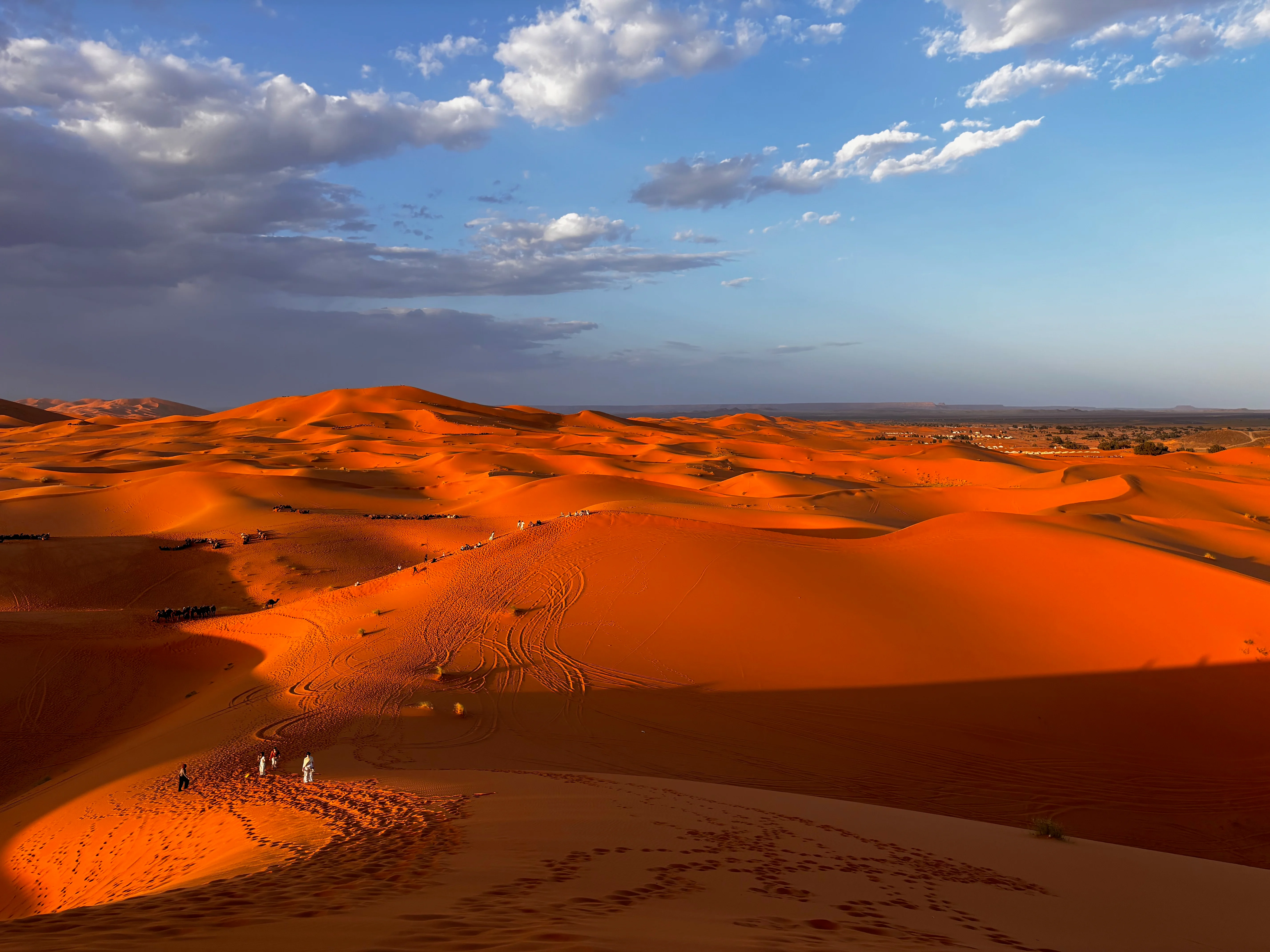 A view of the desert.