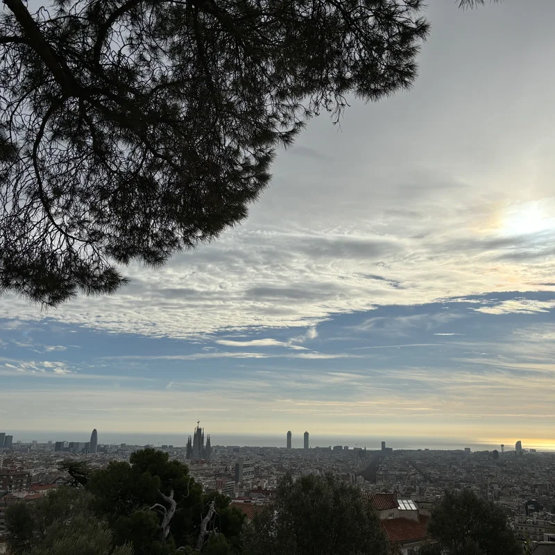 A view from Park Güell.