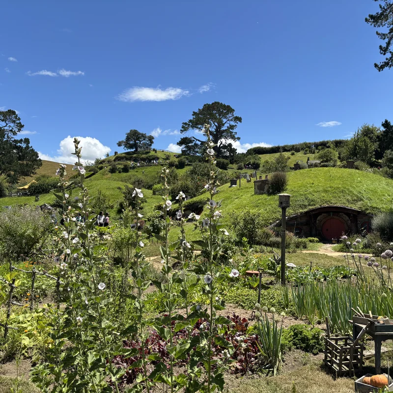 hobitton, Picture 2.