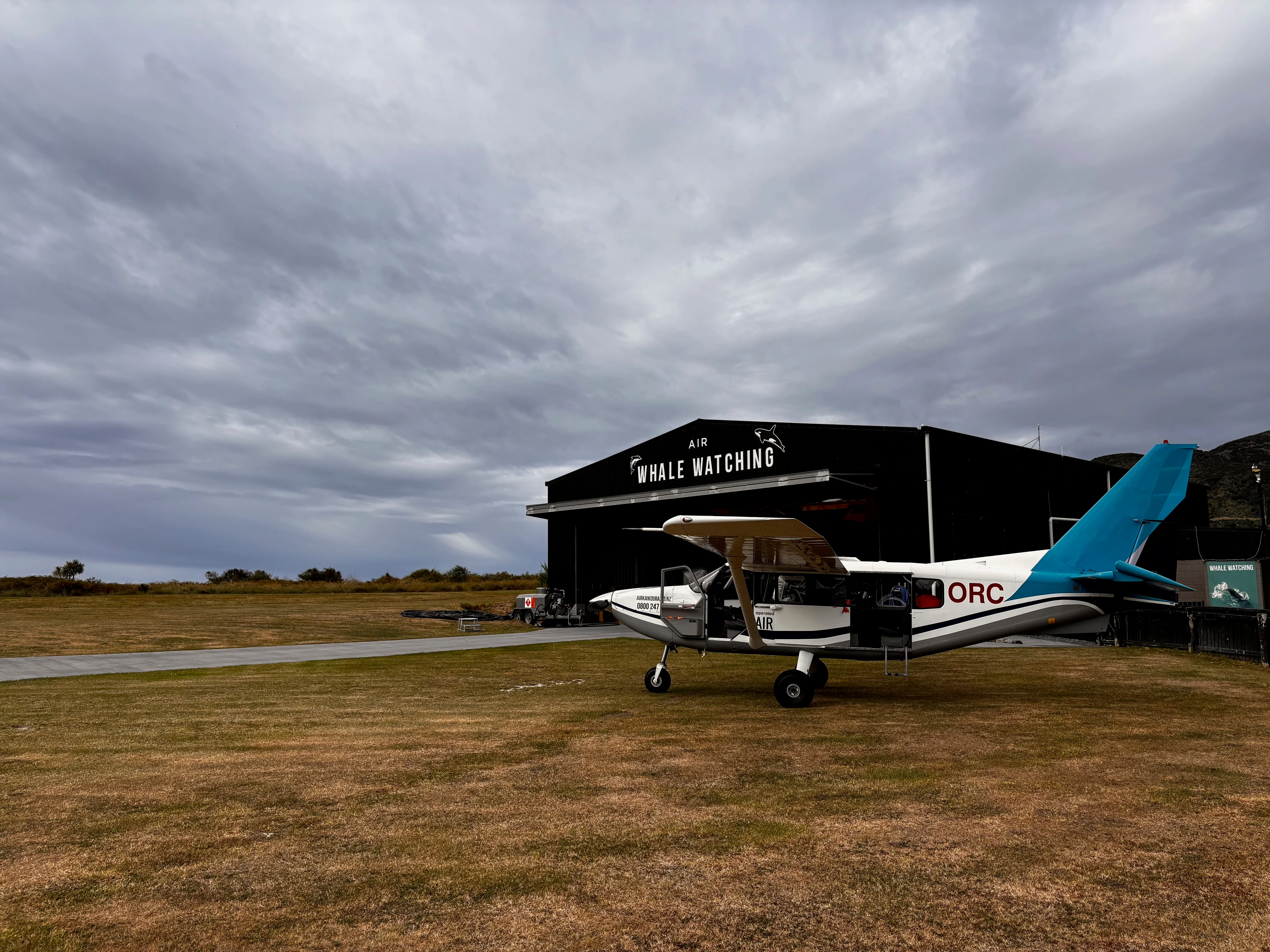 The plane you take to see whales