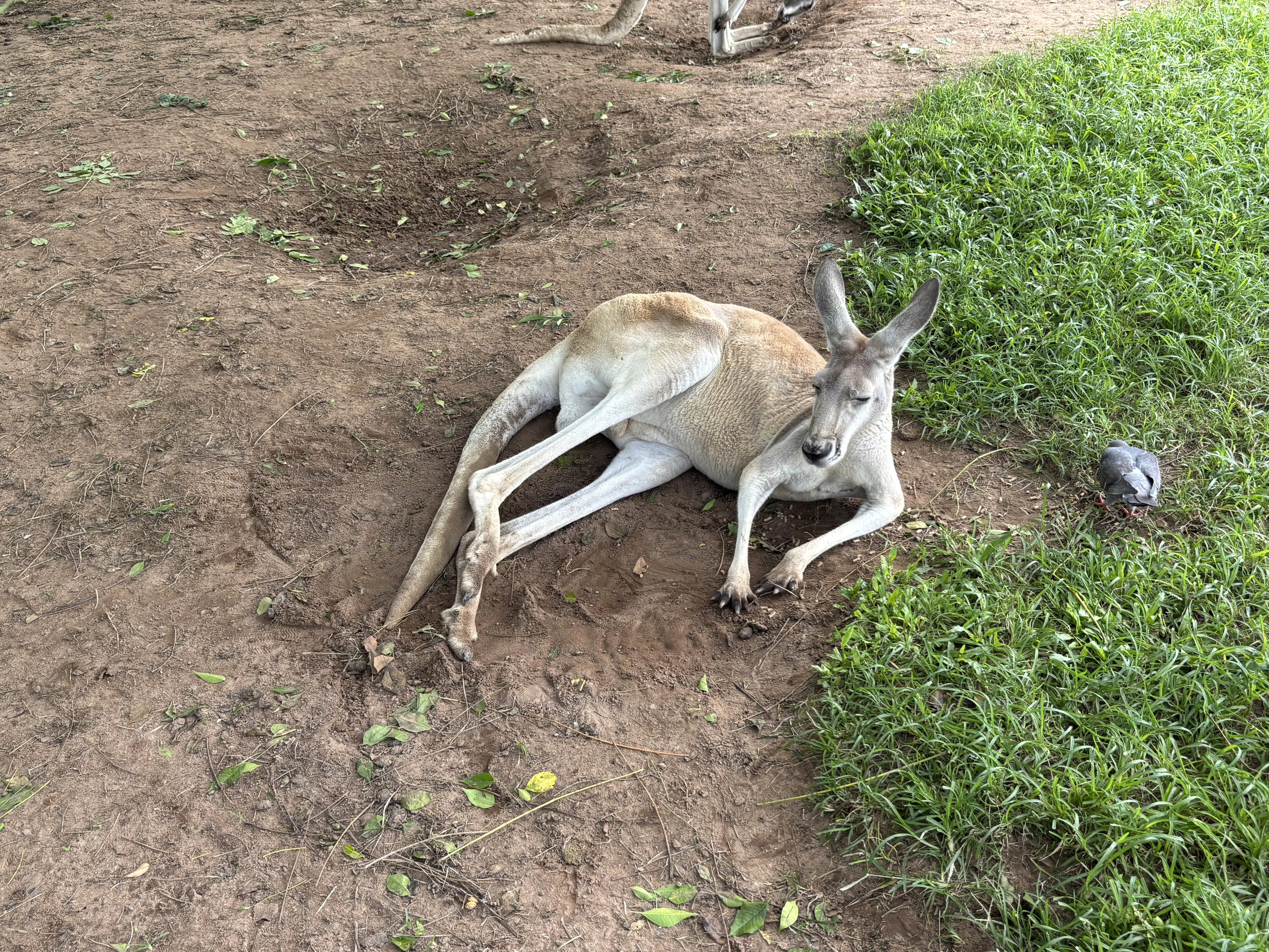 An Epic Australian Adventure. My Guide to the Land Down Under!