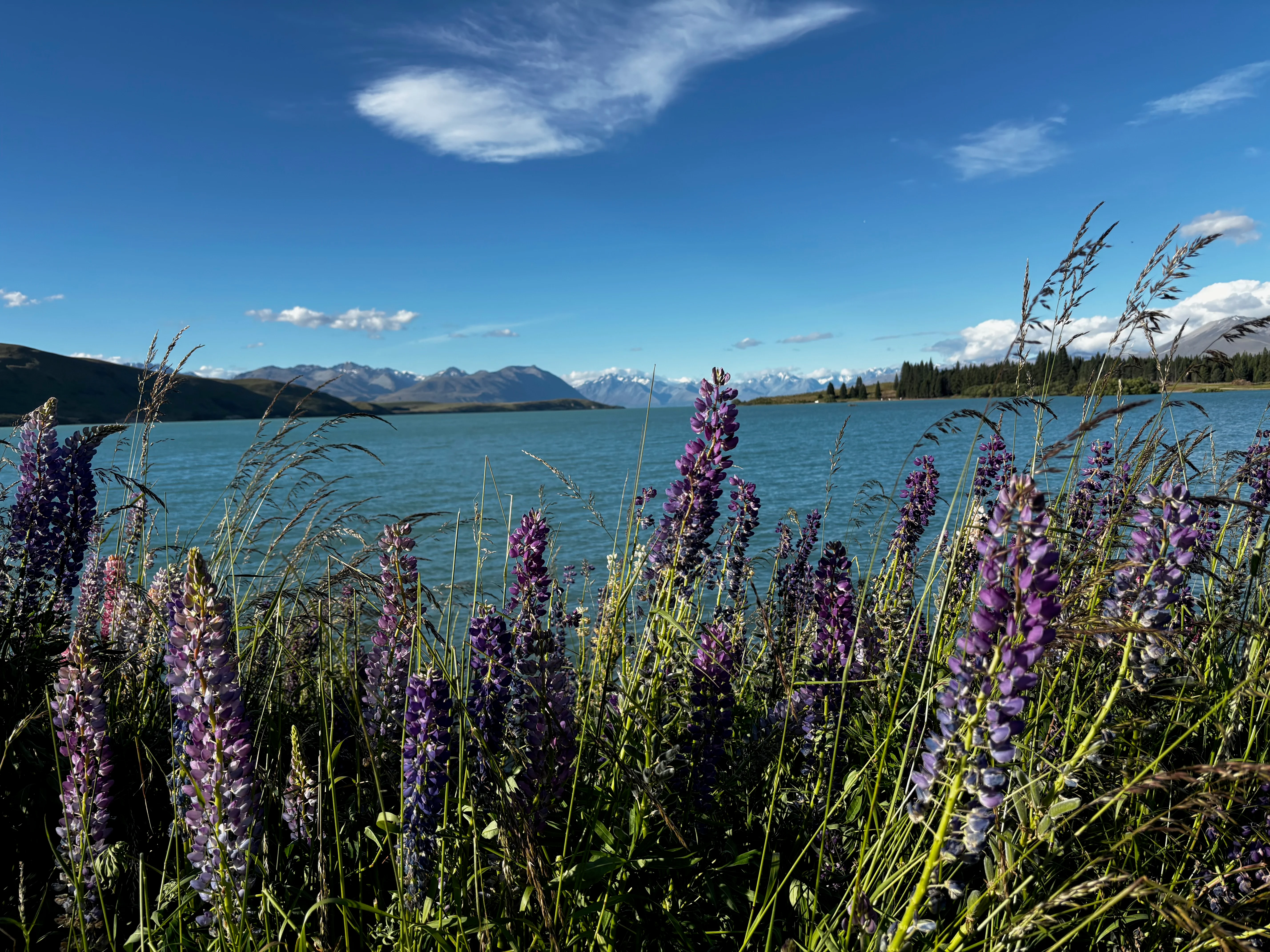 Lake Tekapo