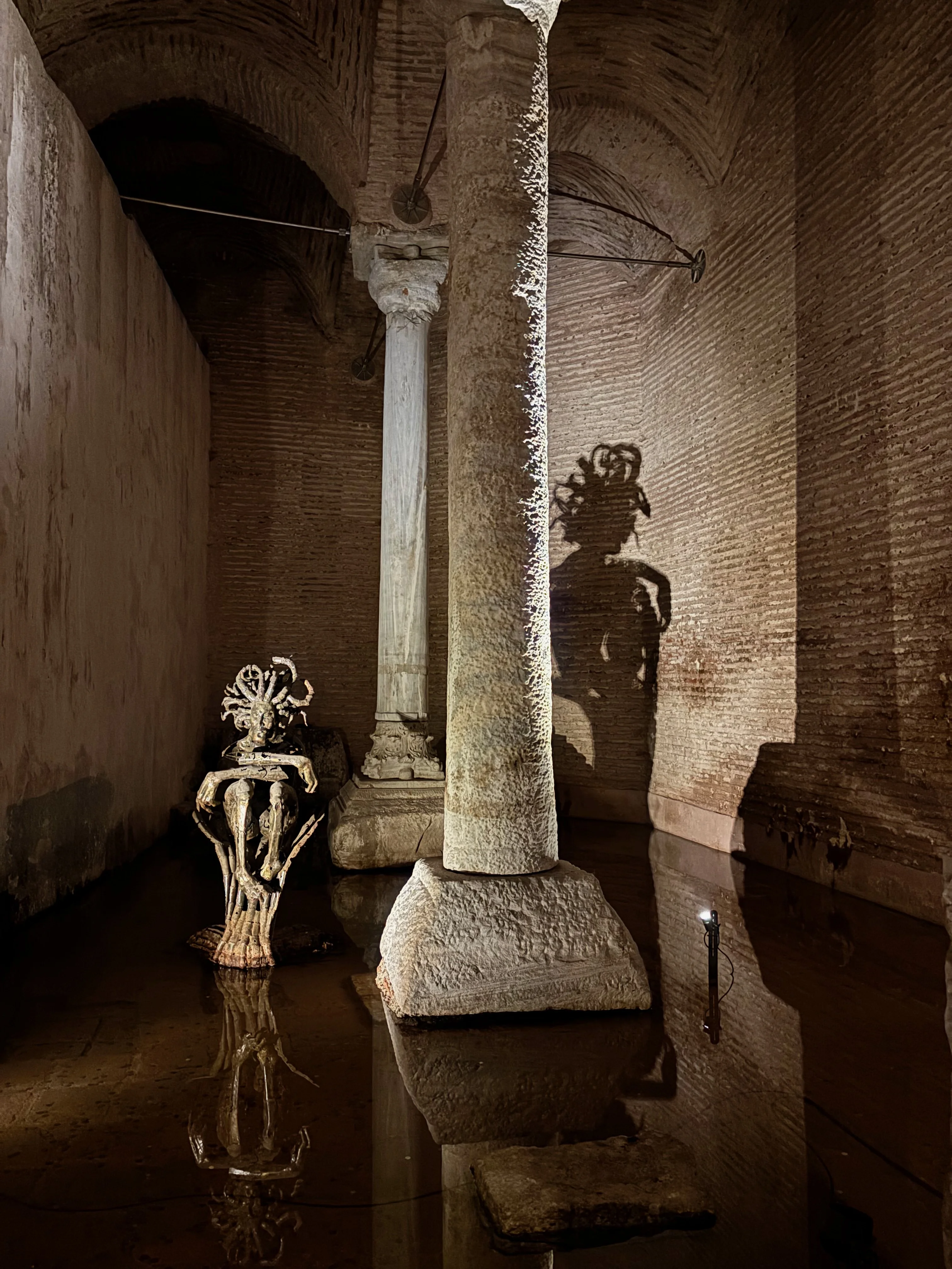 Medussa casts a shadow