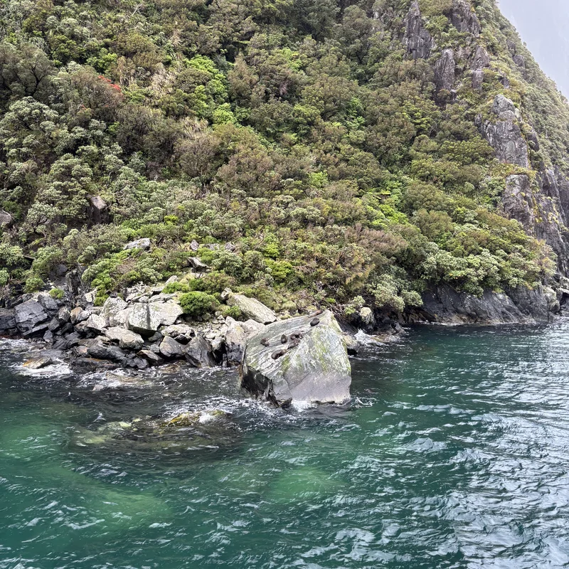 Milford Sounds, Picture 1.