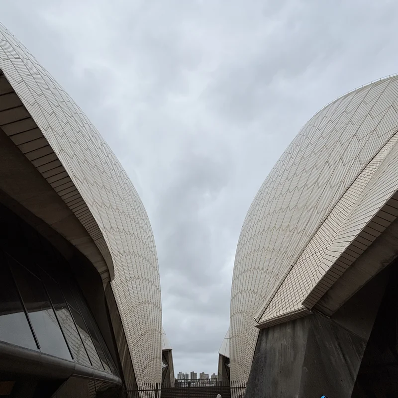 Between the folds of the Sydney Opera House.