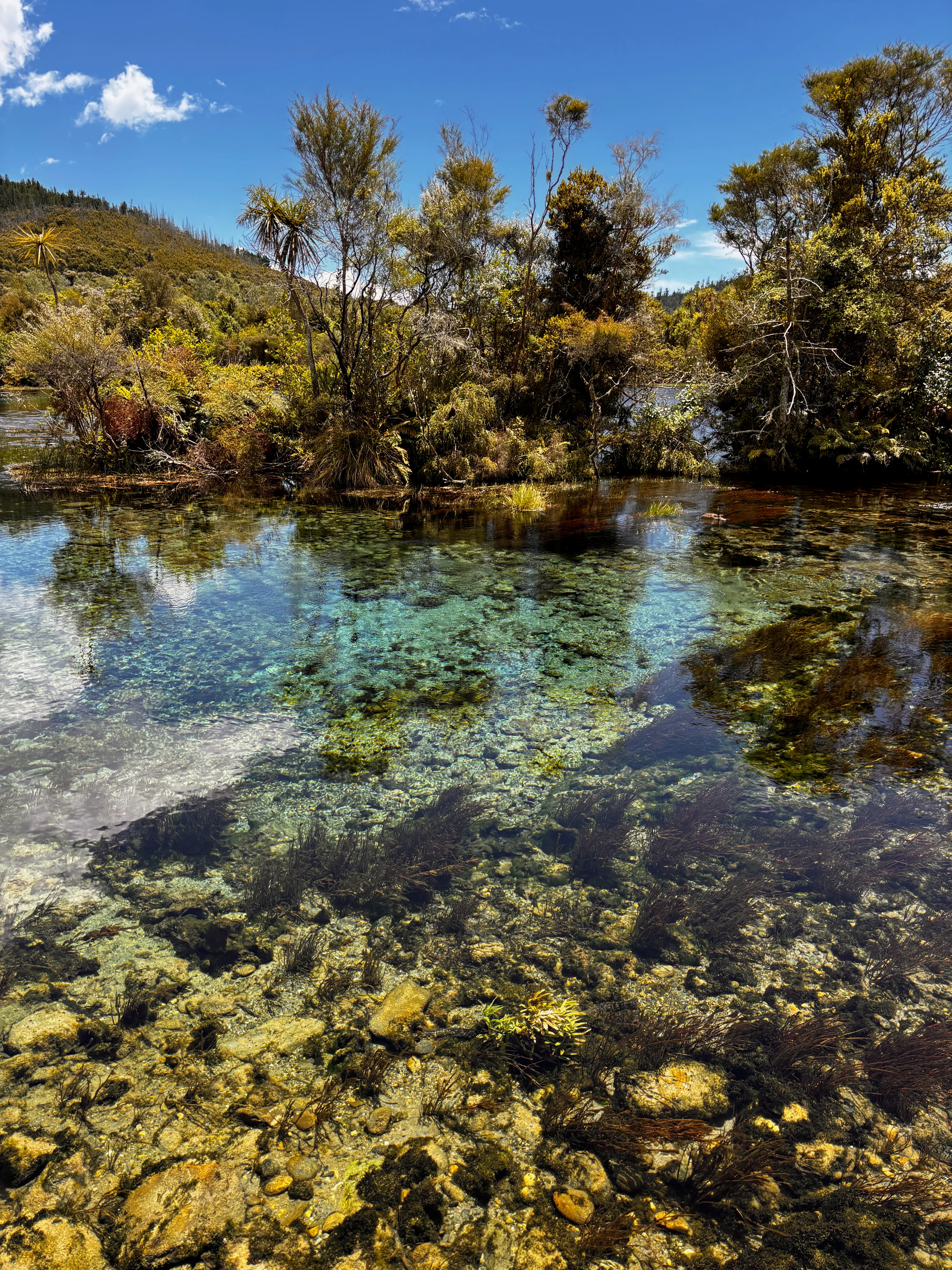 I'm not sure my photo does justice to how clear the water was.