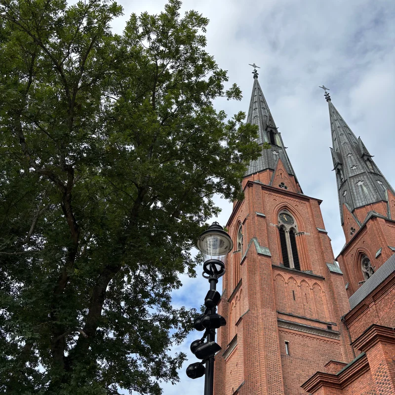 The cathedral with a tree in the forefront.